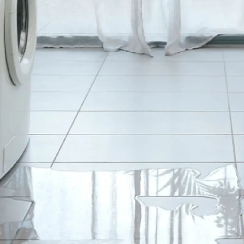 Appliance Leak Cleanup in Goreville, IL
