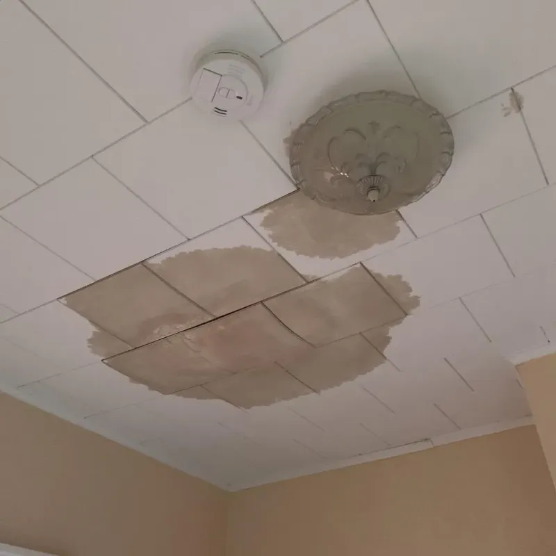Ceiling Water Damage Repair in Goreville, IL