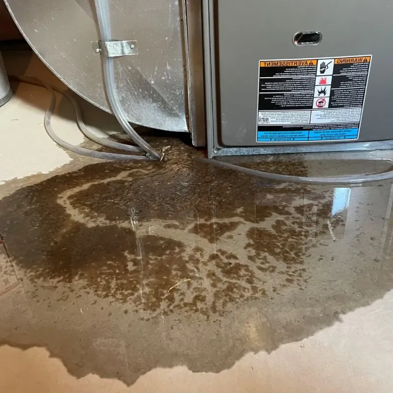 Pipe Burst and Leak Restoration in Goreville, IL