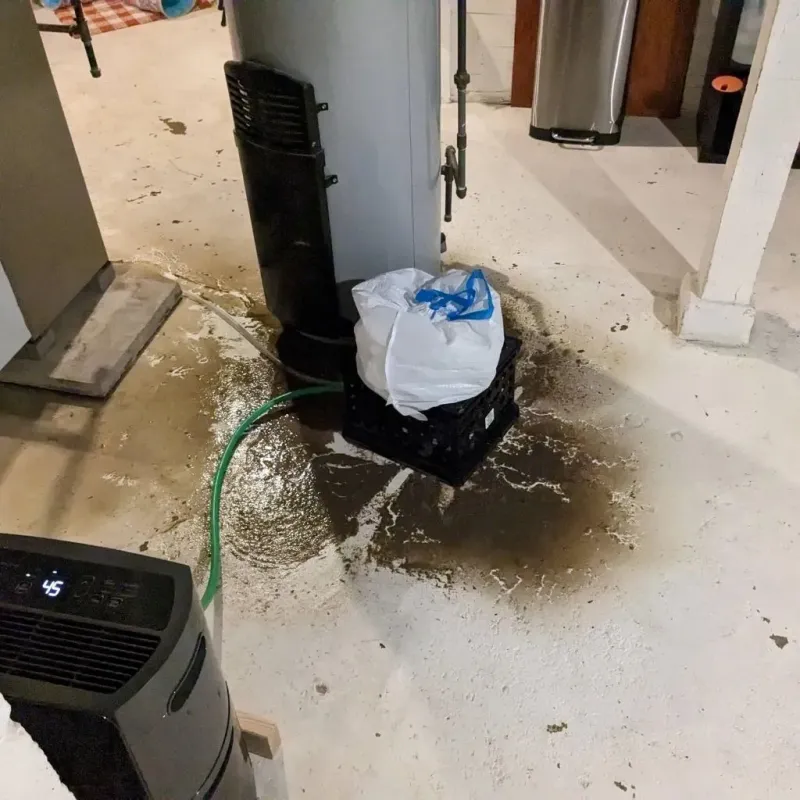Sewage Backup Cleanup Service in Goreville, IL